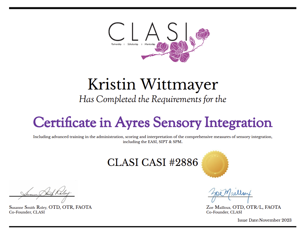 Revamped Certification in Ayres Integration